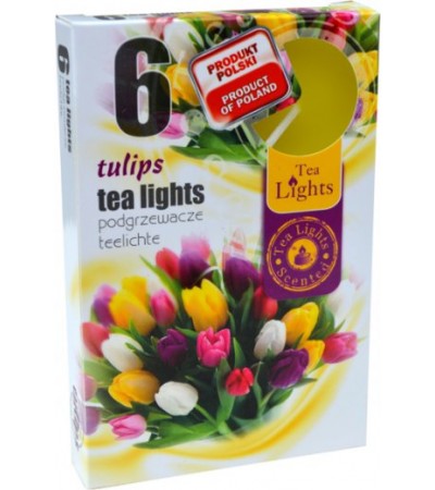 Sviečka čajová TULIPS Sviečka čajová TULIPS